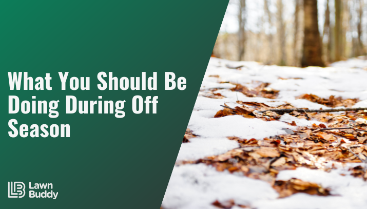 lawn care business off season