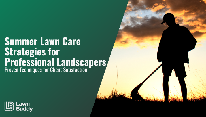 summer lawn care strategies for professional landscapers